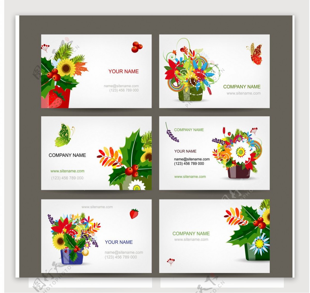 花卉卡片图片