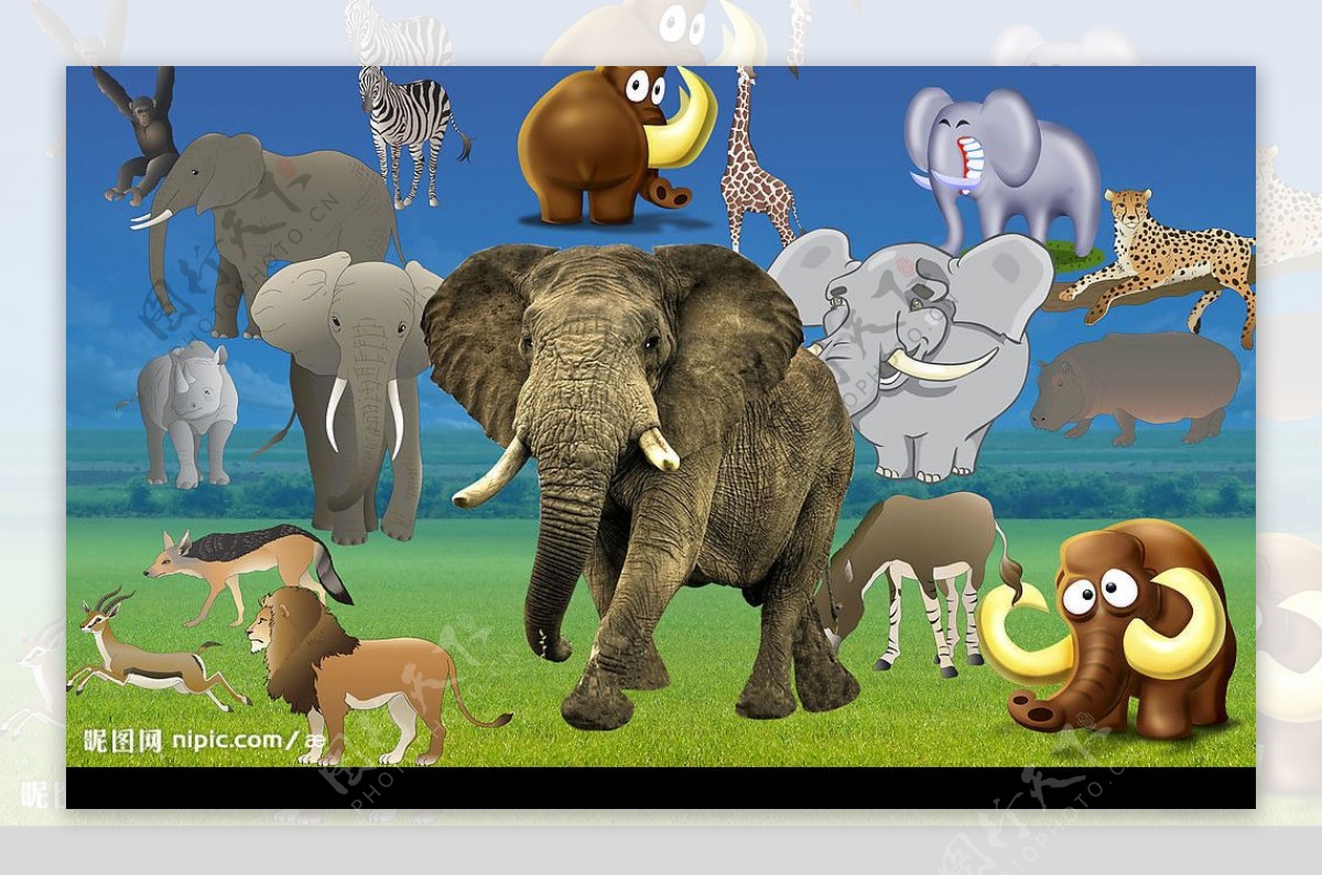 大象矢量素材图片