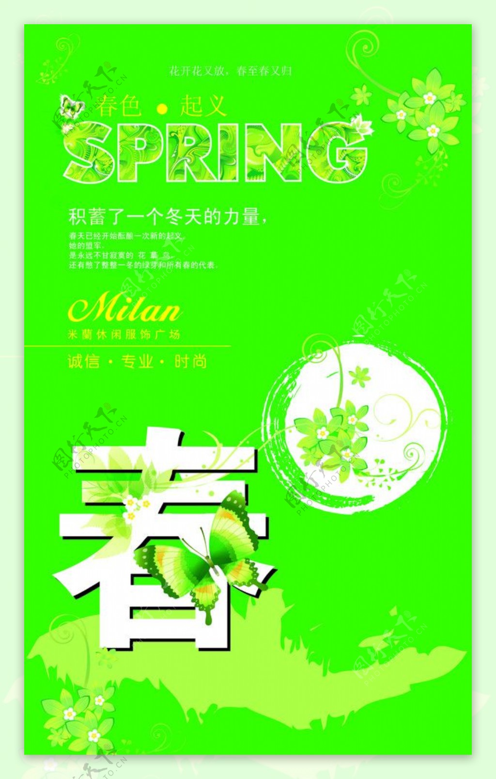 春spring小花蝴蝶春天图片