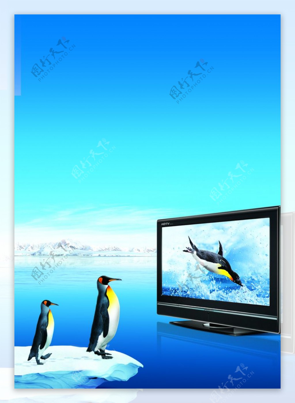 企鹅看电视创意海报图片