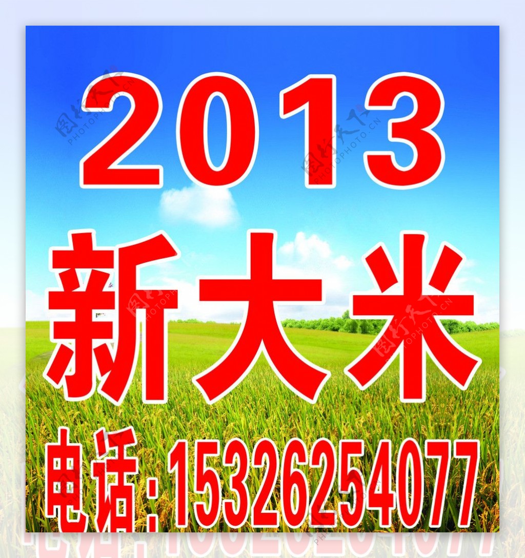 2013新大米图片