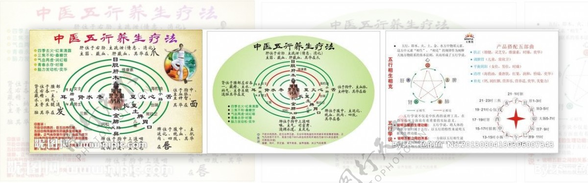 中医五行养生医疗彩页图片