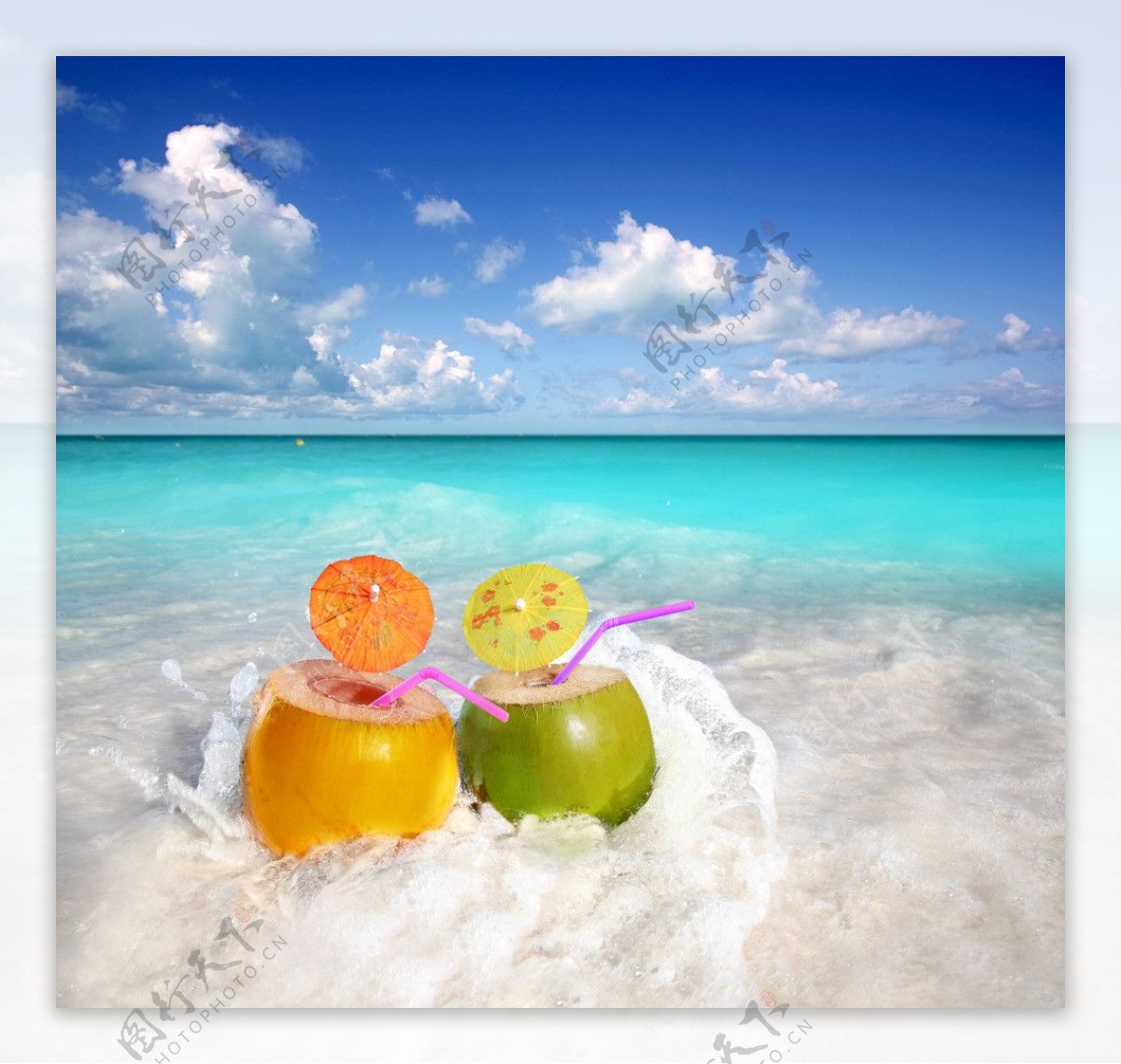 海滩椰果图片