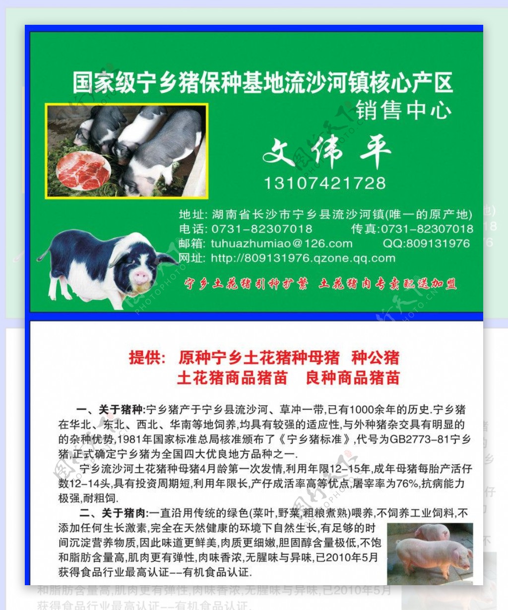 宁乡花猪商名片图片