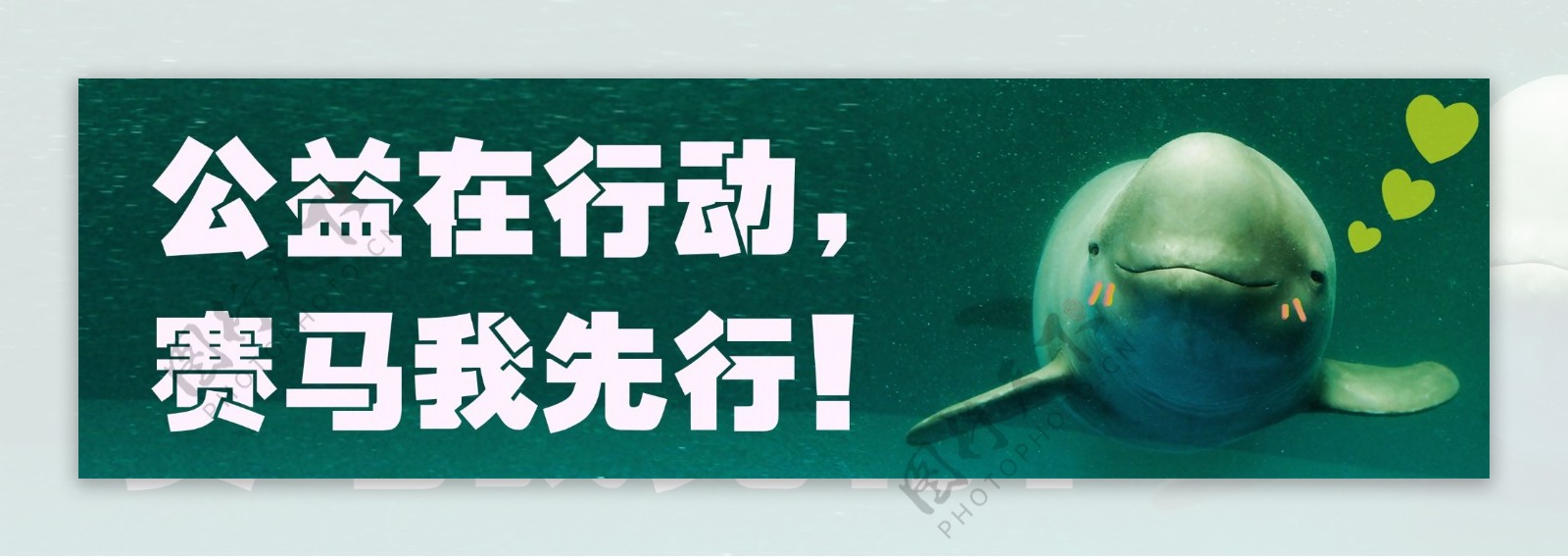 保护海豚公益海报图片