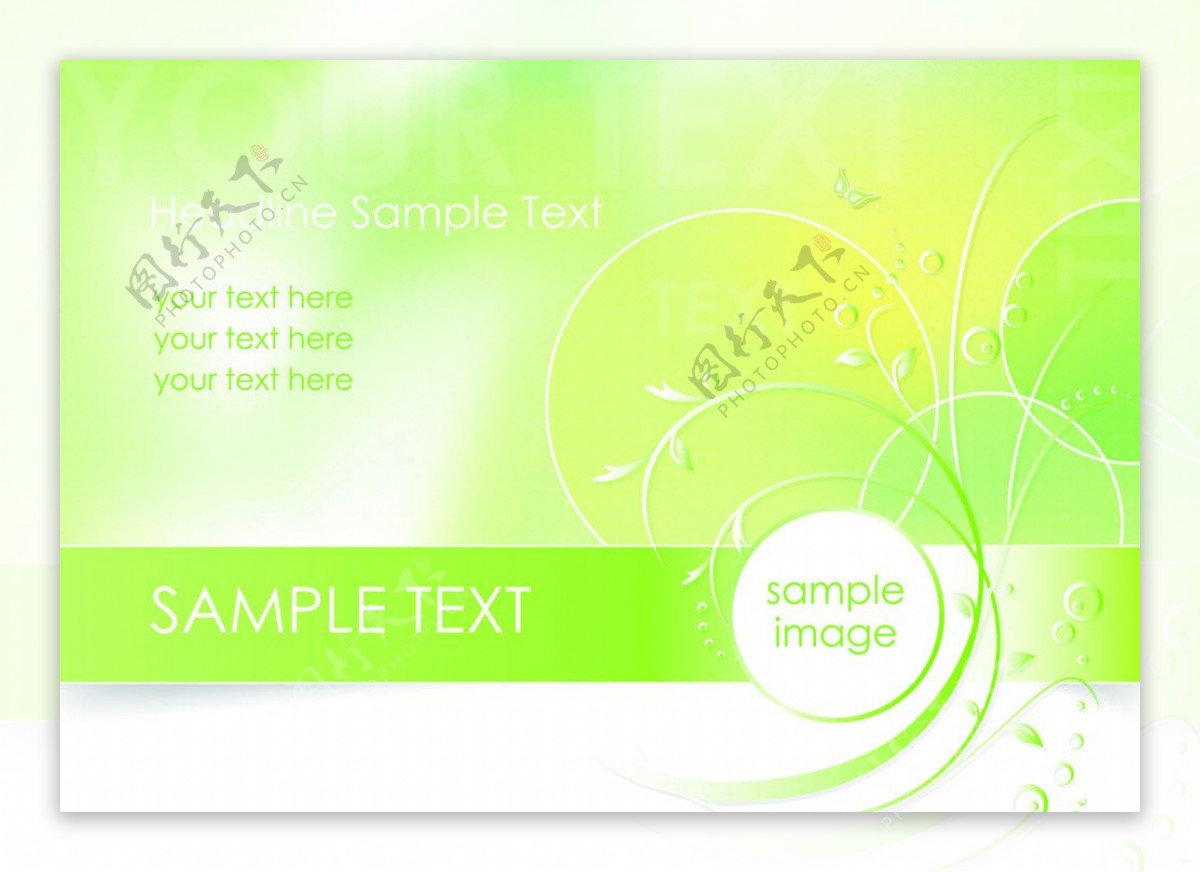 绿色动感线条蝴蝶卡片名片图片