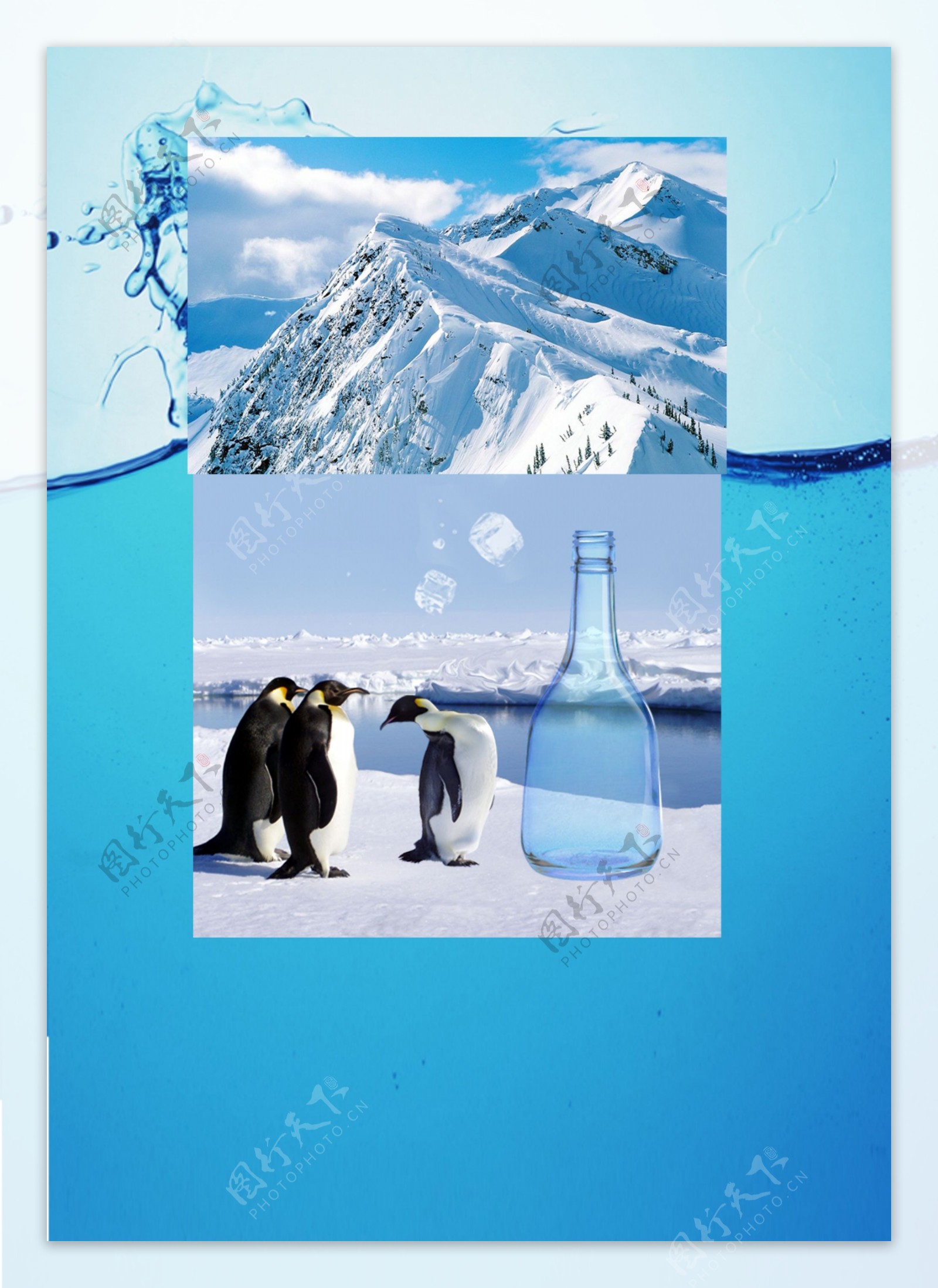 企鹅瓶广告图片