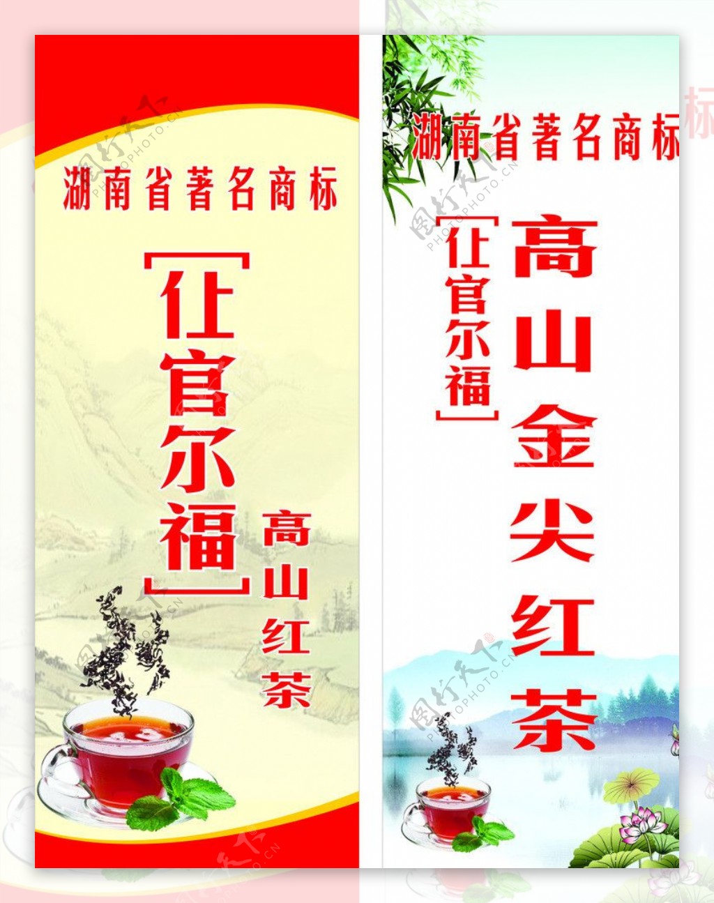 高山红茶图片