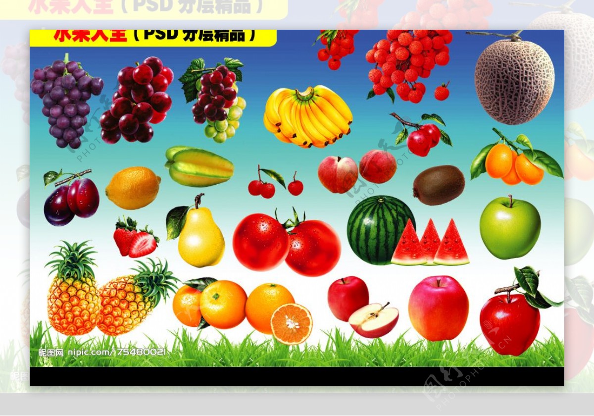水果素材PSD分层图片