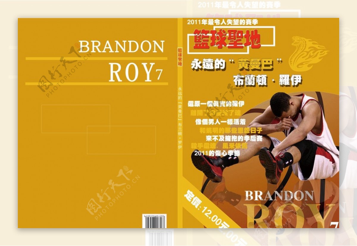 罗伊NBA书籍设计图片