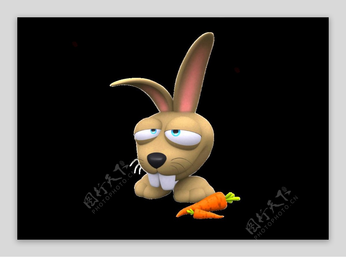 卡通兔子3D兔子图片