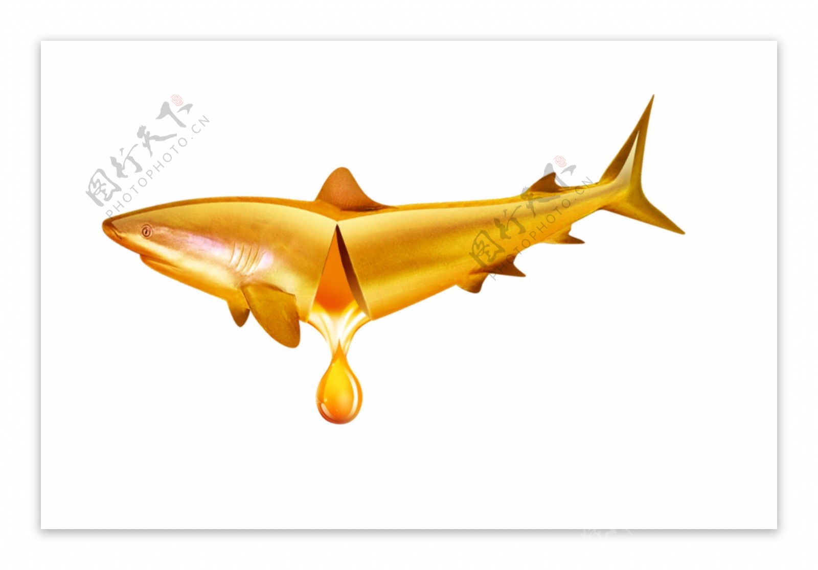 鱼肝油(星鲨)价格-说明书-功效与作用-副作用-39药品通