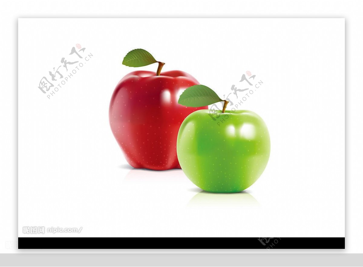 红苹果与青苹果图片