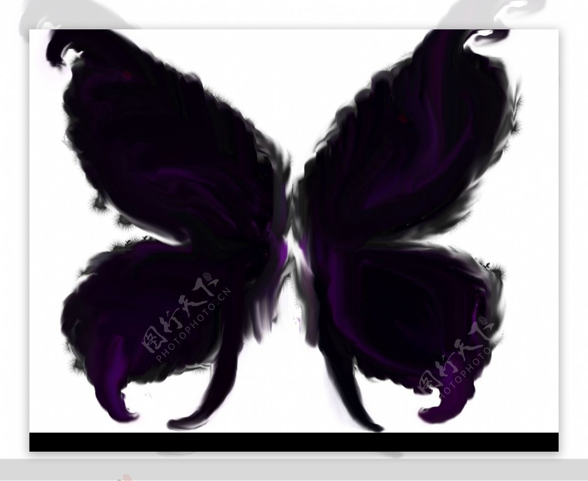 蝴蝶翅膀PSD文件图片