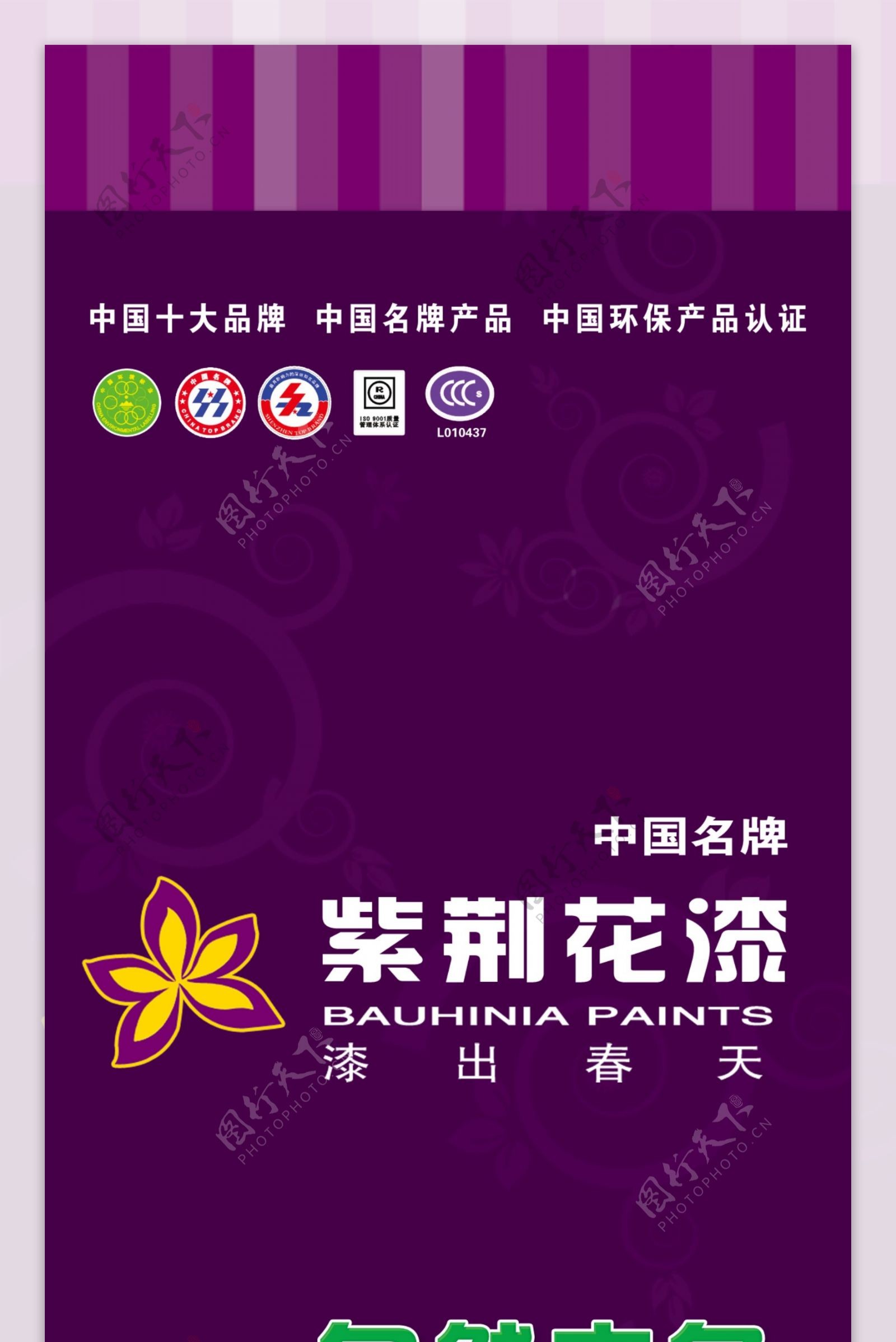 紫荆花漆海报图片