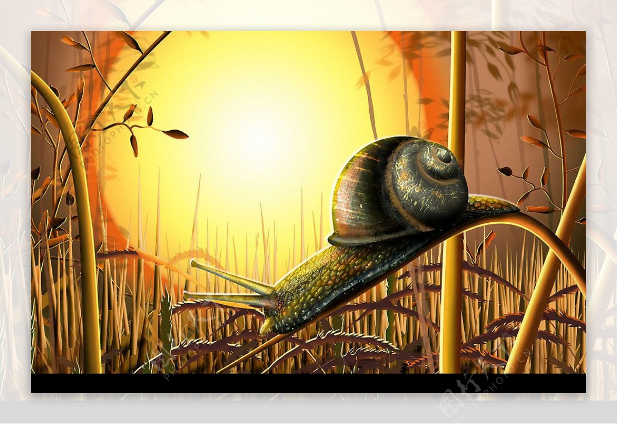 日落下的蜗牛图片