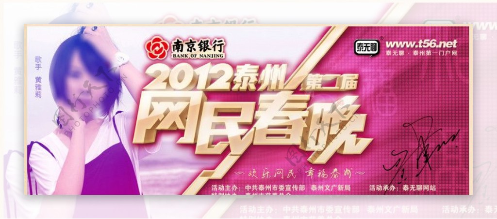 2012泰州第二届网民春晚票封面图片
