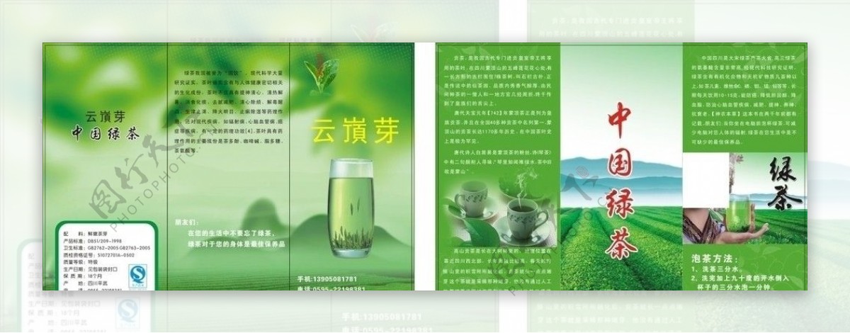 绿茶三折页图片