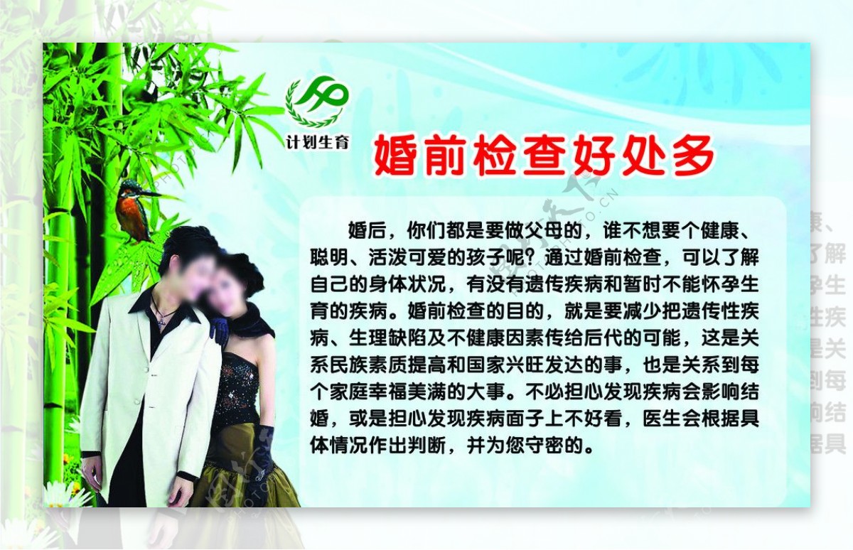 婚前检查图片