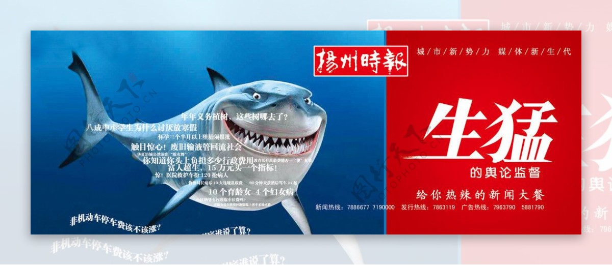 鲨鱼广告图片