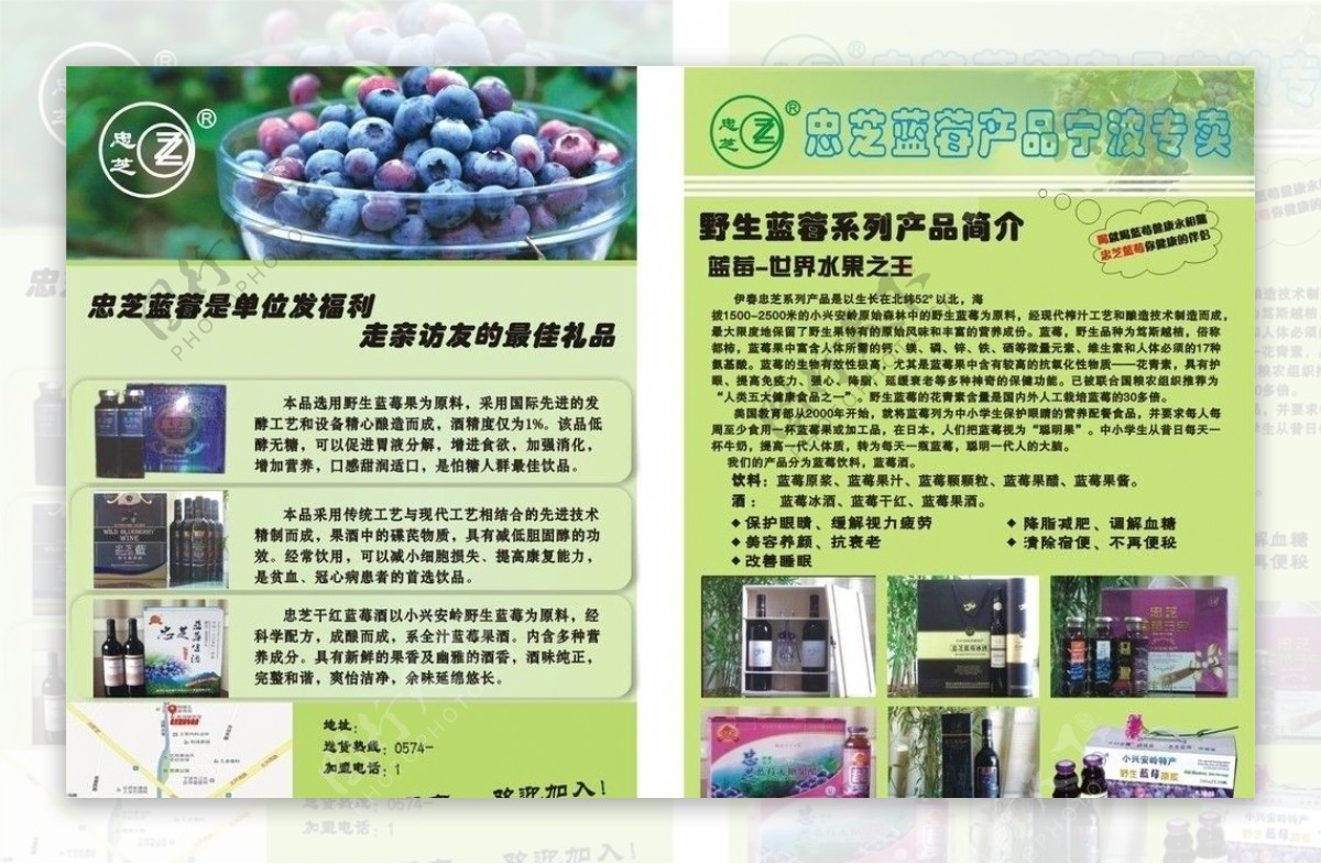 蓝莓宣传单图片