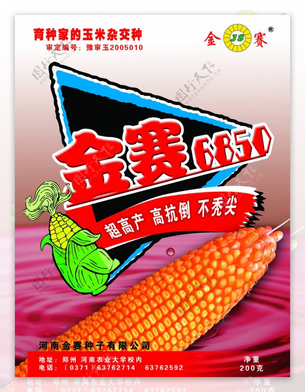 玉米产品海报图片