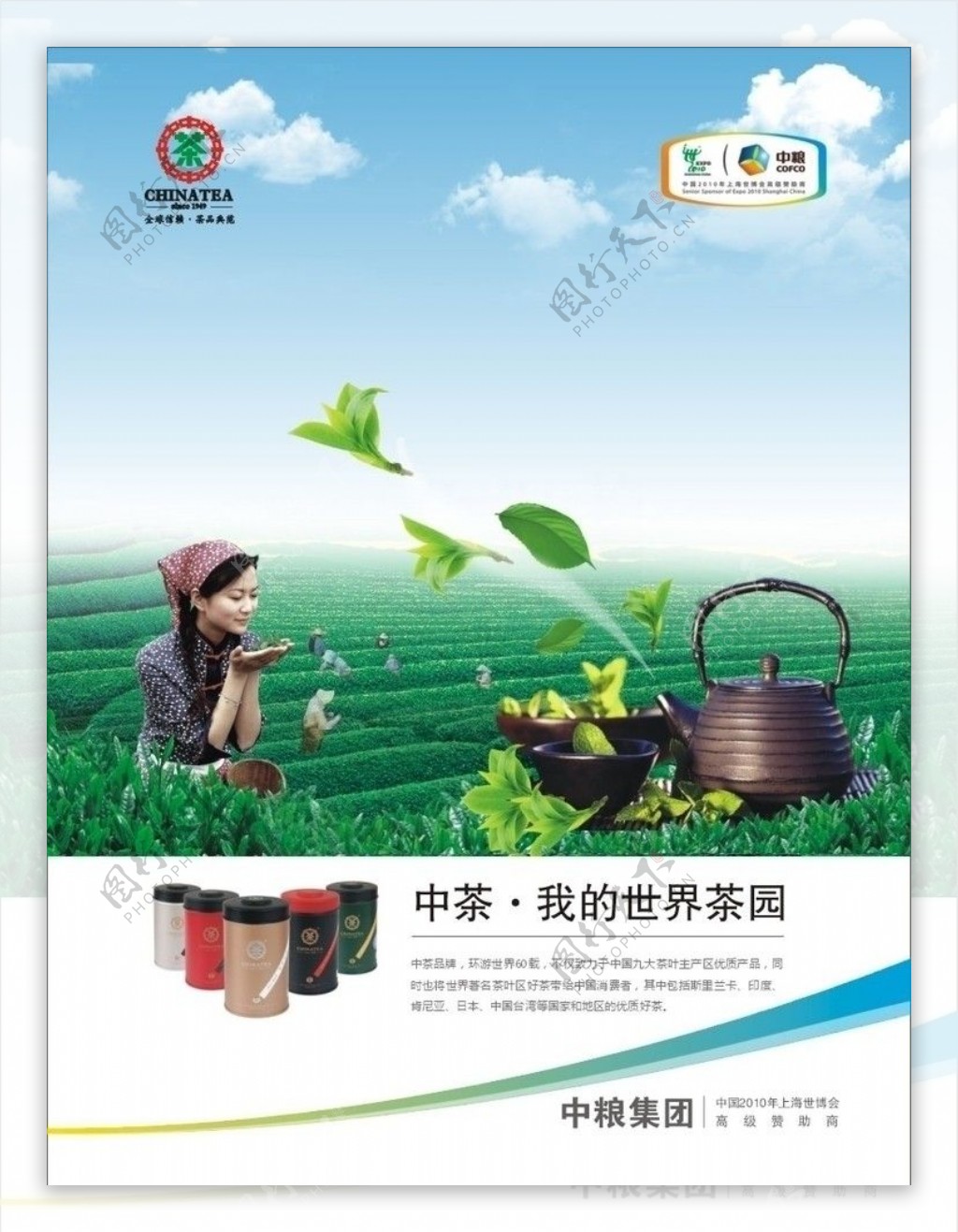 中茶广告图片