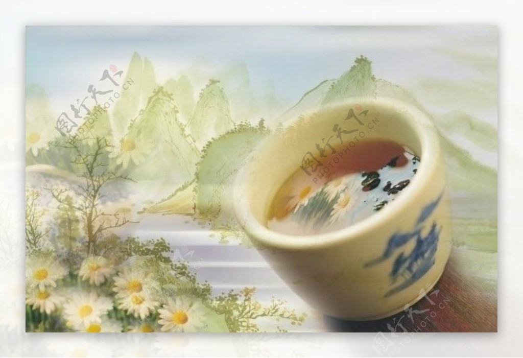菊花茶广告图片