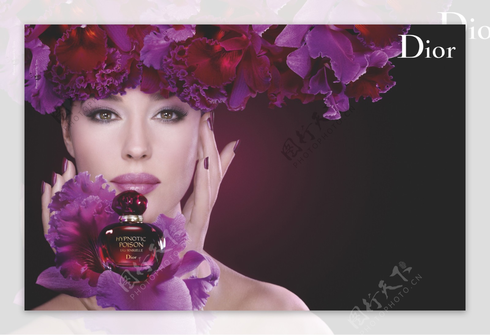 迪奥图片素材-编号19739184-图行天下