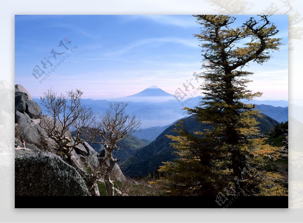 樱花与富士山0195