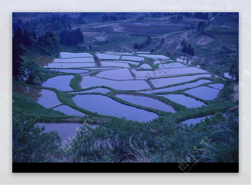 山景田野0093