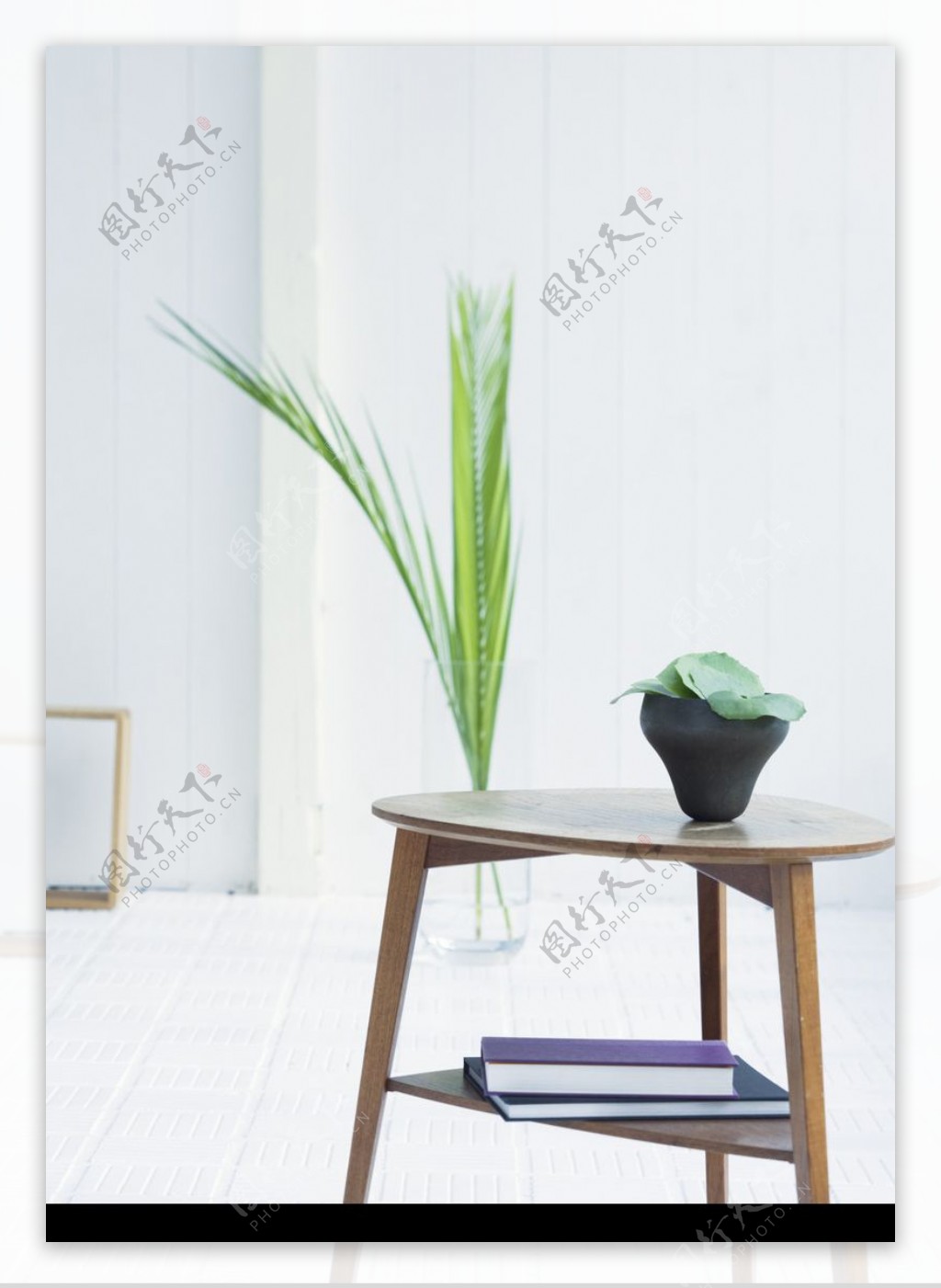 植物与空间0128