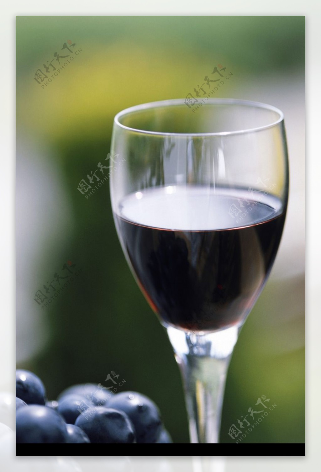 葡萄酒0041