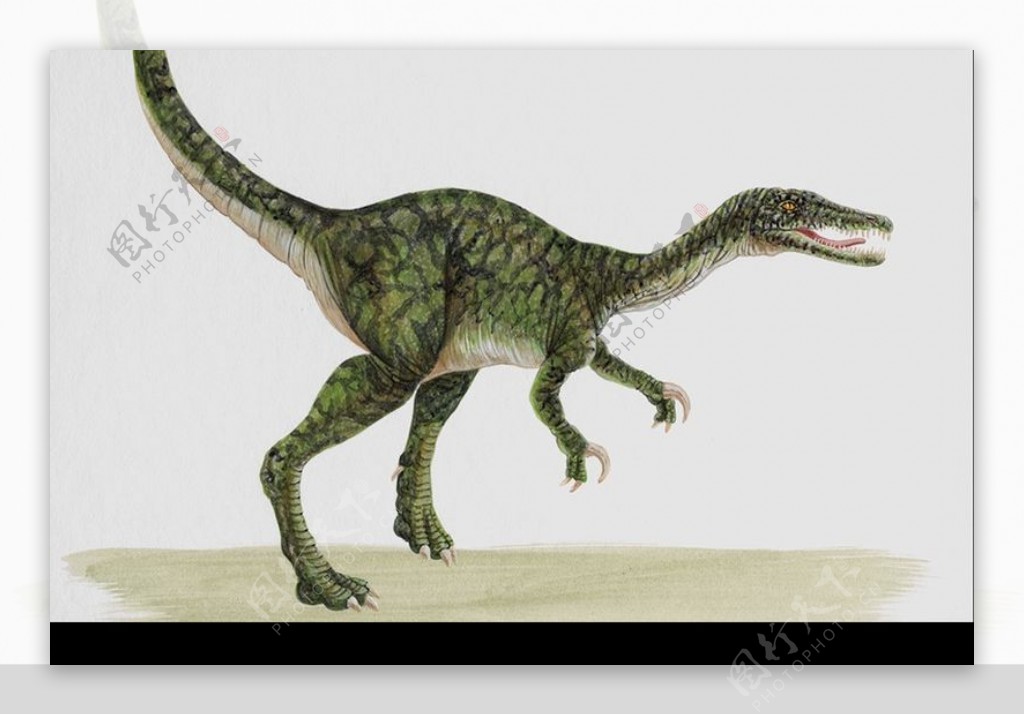 白垩纪恐龙0020