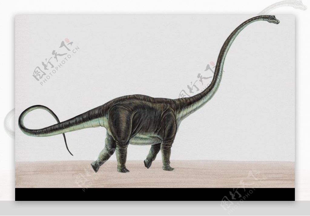 白垩纪恐龙0055