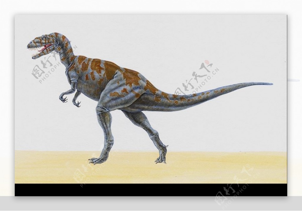 白垩纪恐龙0099
