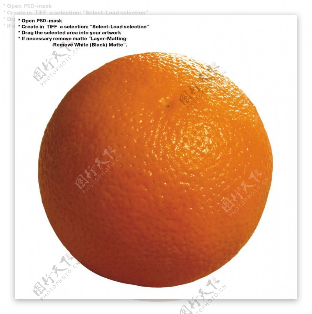 橙子特写0038