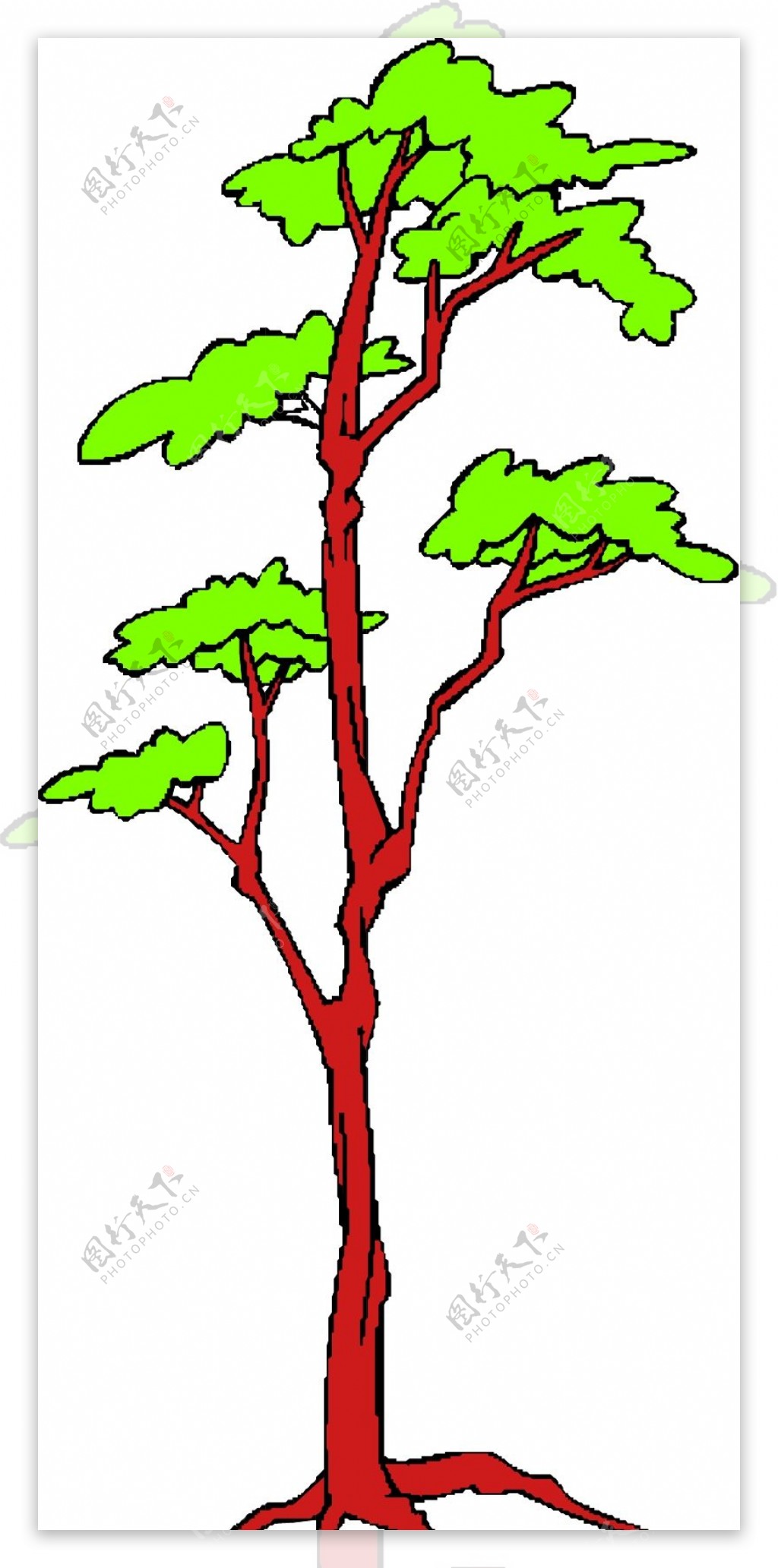 树木1589