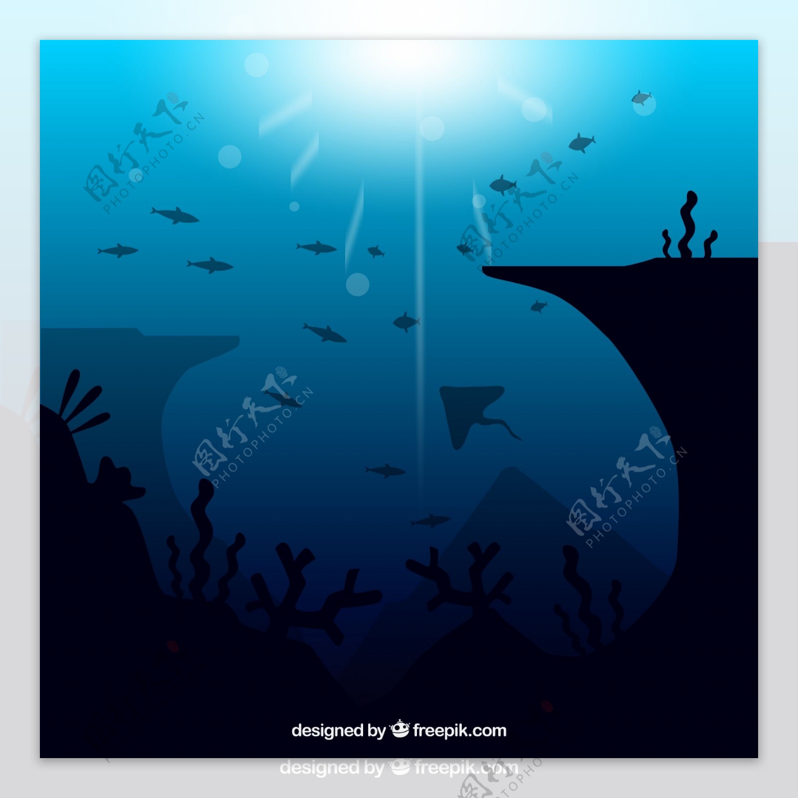 深海鱼类风景