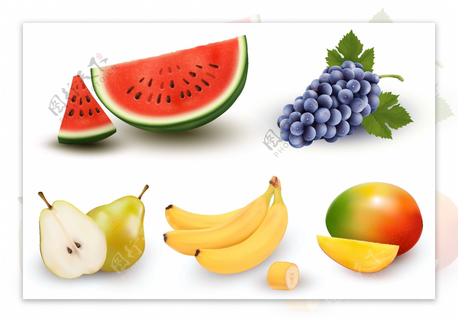 五种切开的新鲜水果矢量素材