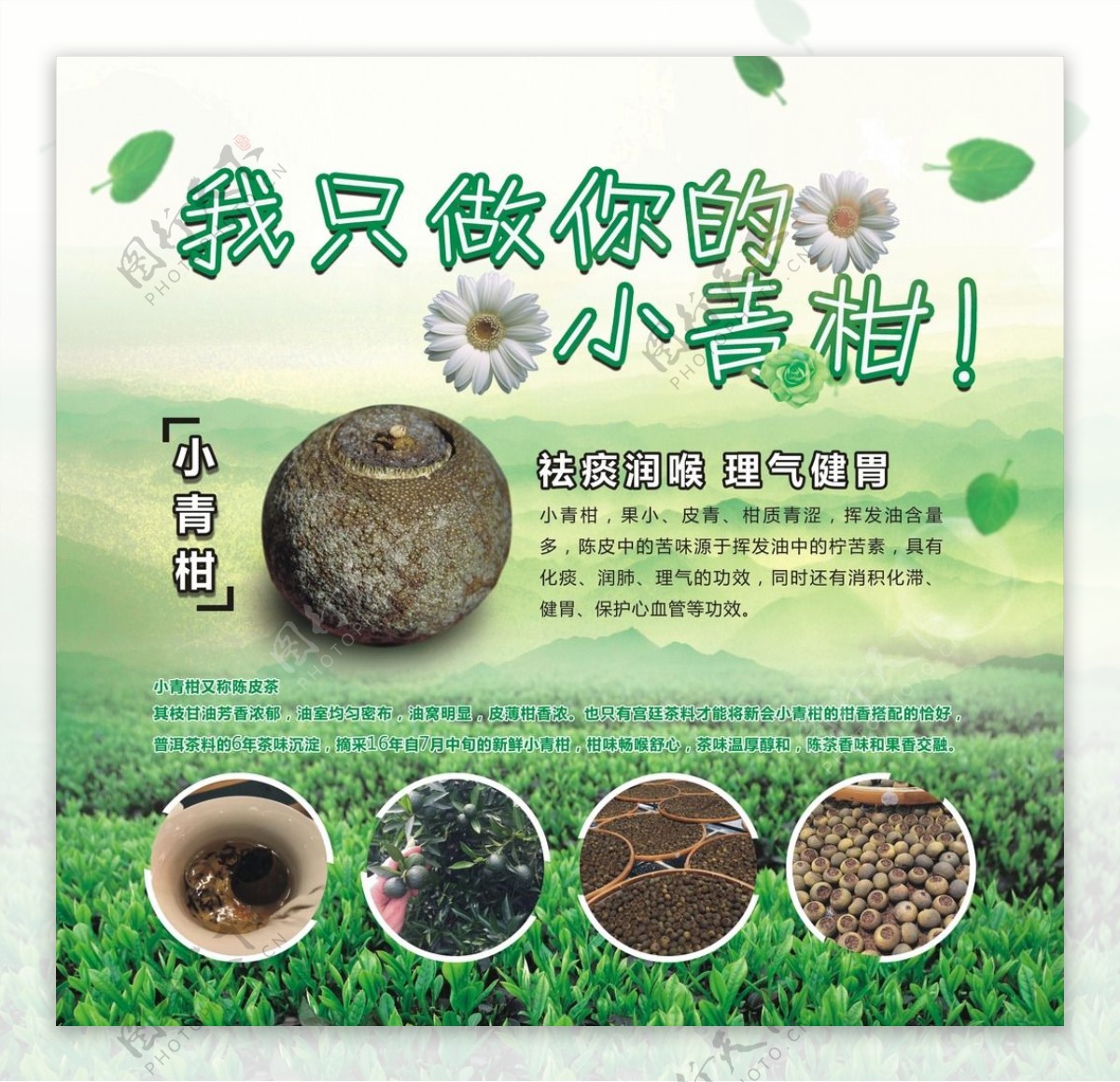 小清新绿色茶叶海报