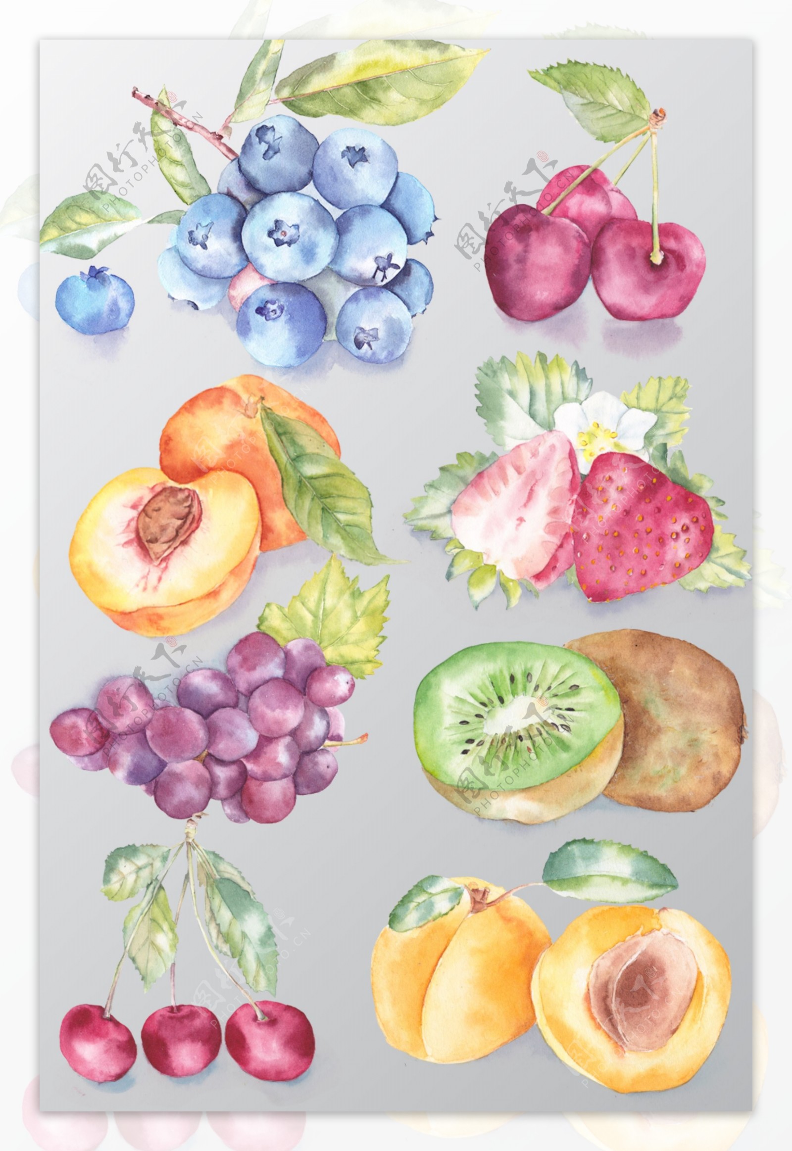 水果插画