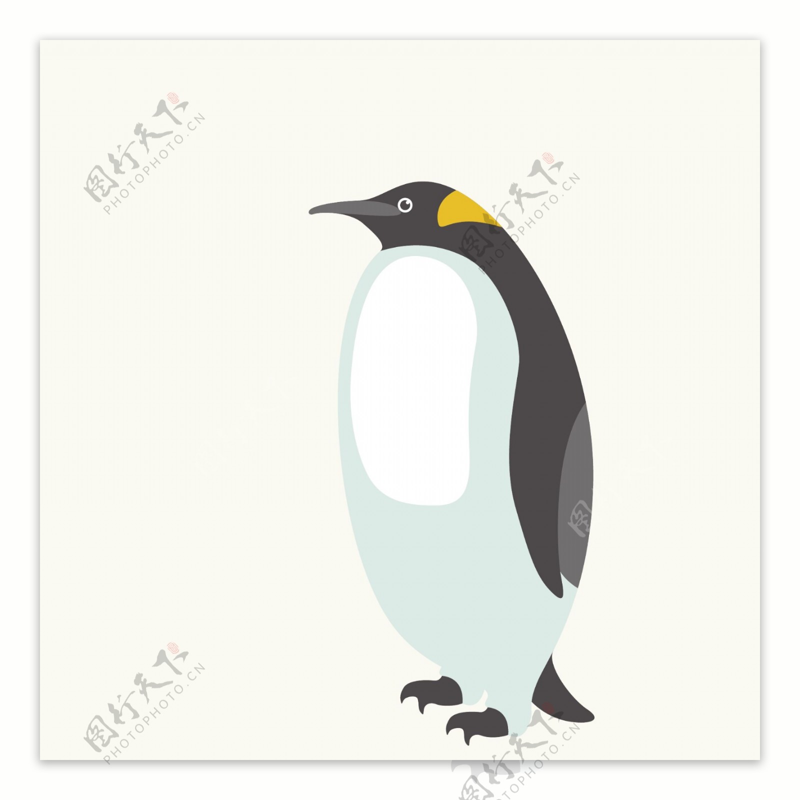 卡通企鹅图片素材-编号22544774-图行天下