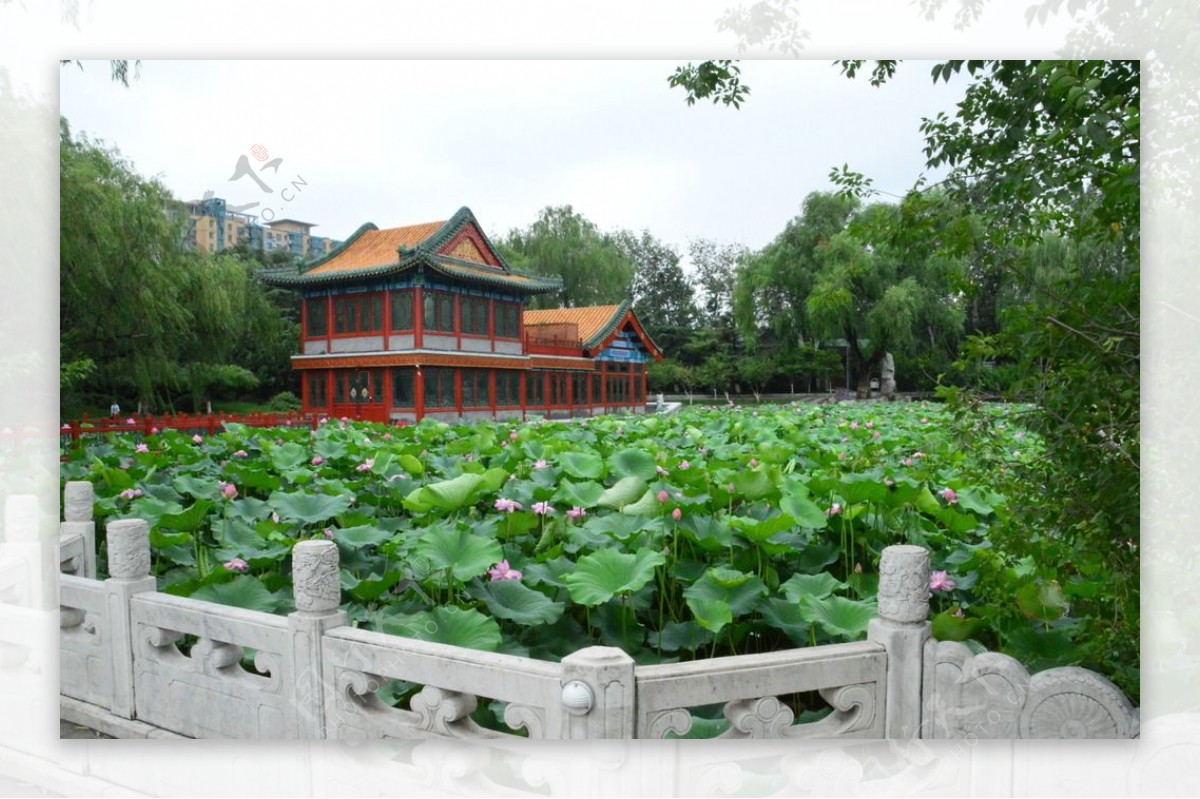 龙潭湖风景