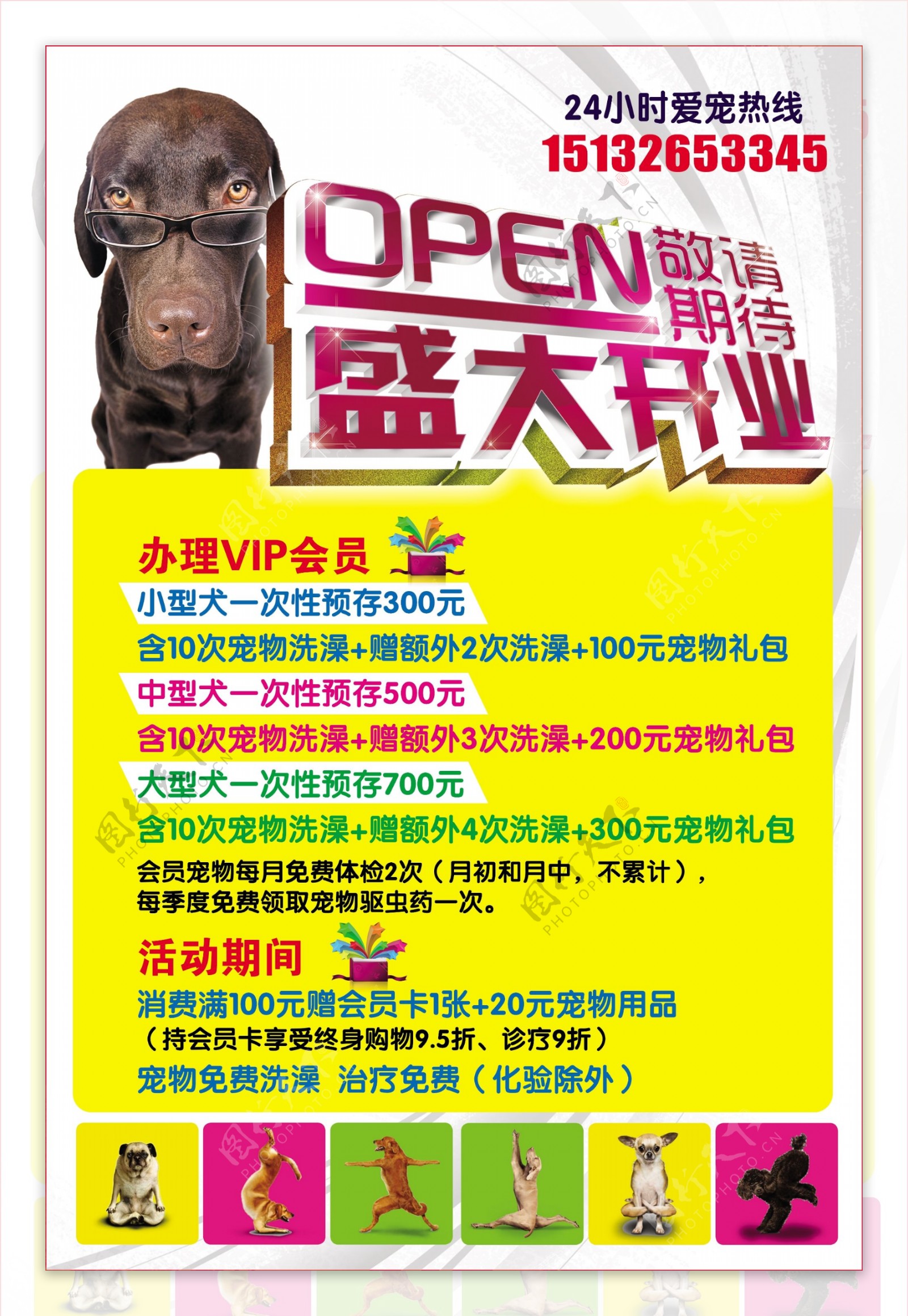 宠物店宣传海报彩页