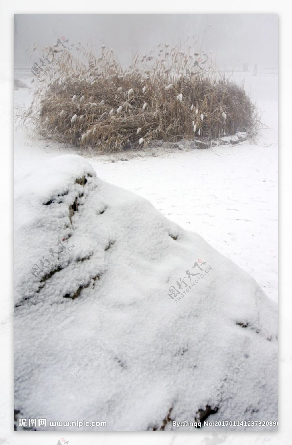 雪中小景