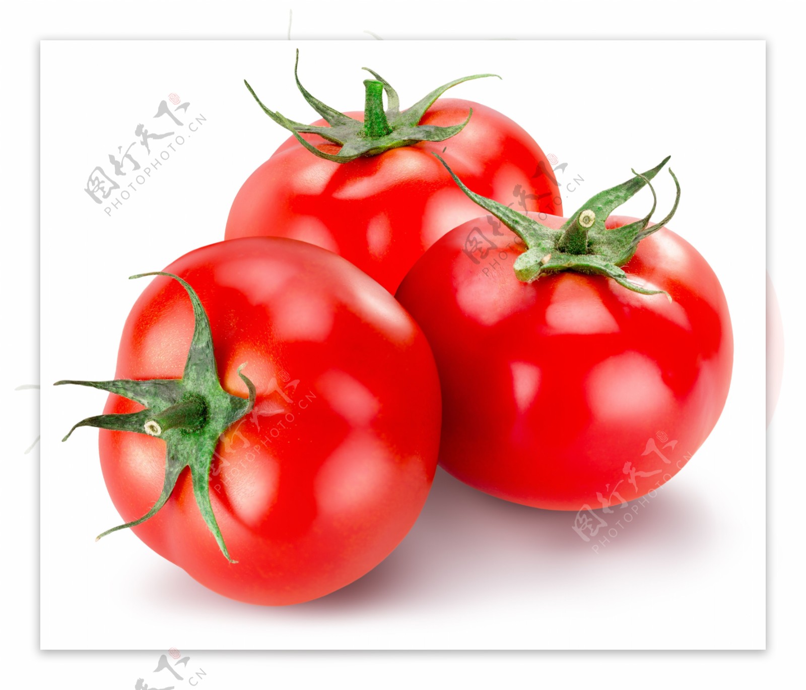 美味的番茄水果