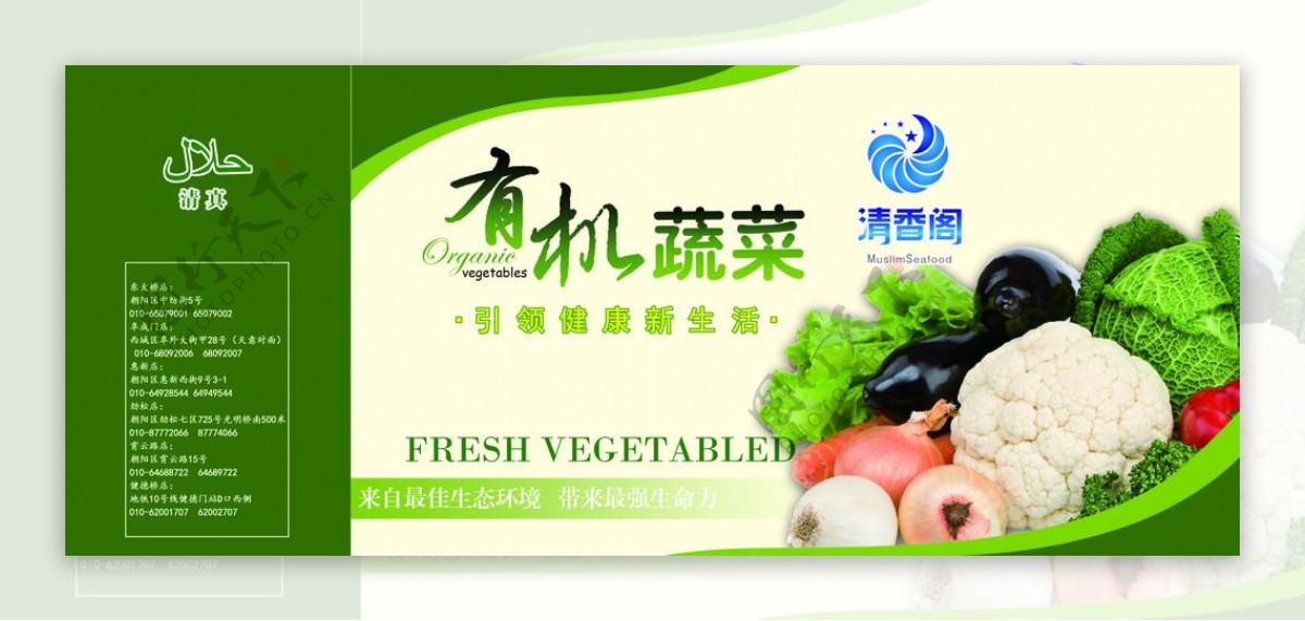 有机蔬菜包装设计素材
