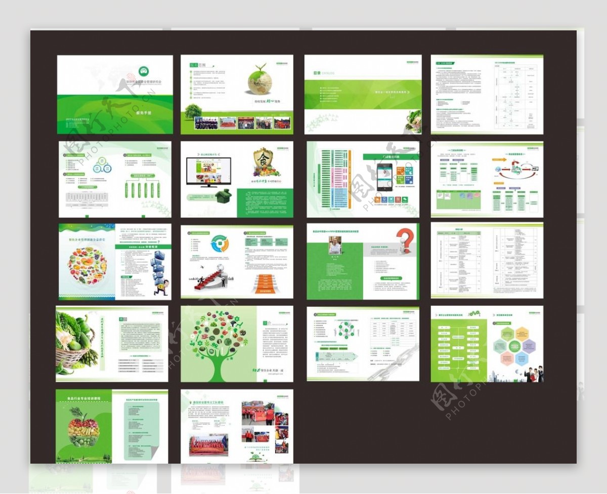 绿色环保健态食品画册