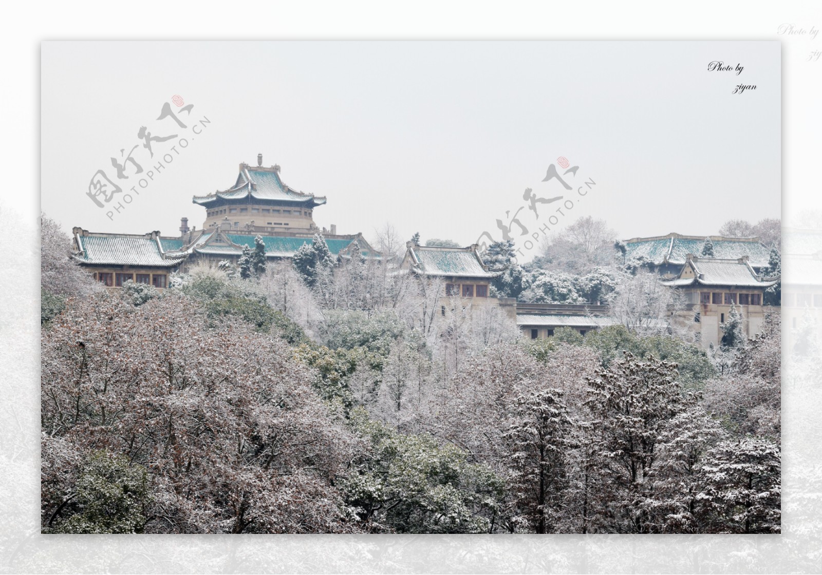 武汉大学樱顶雪景